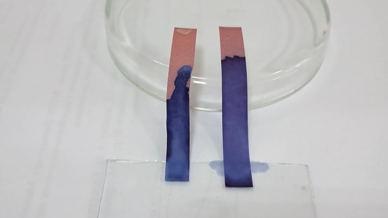 Litmus Paper, Ammonia, and Sodium Hydroxide