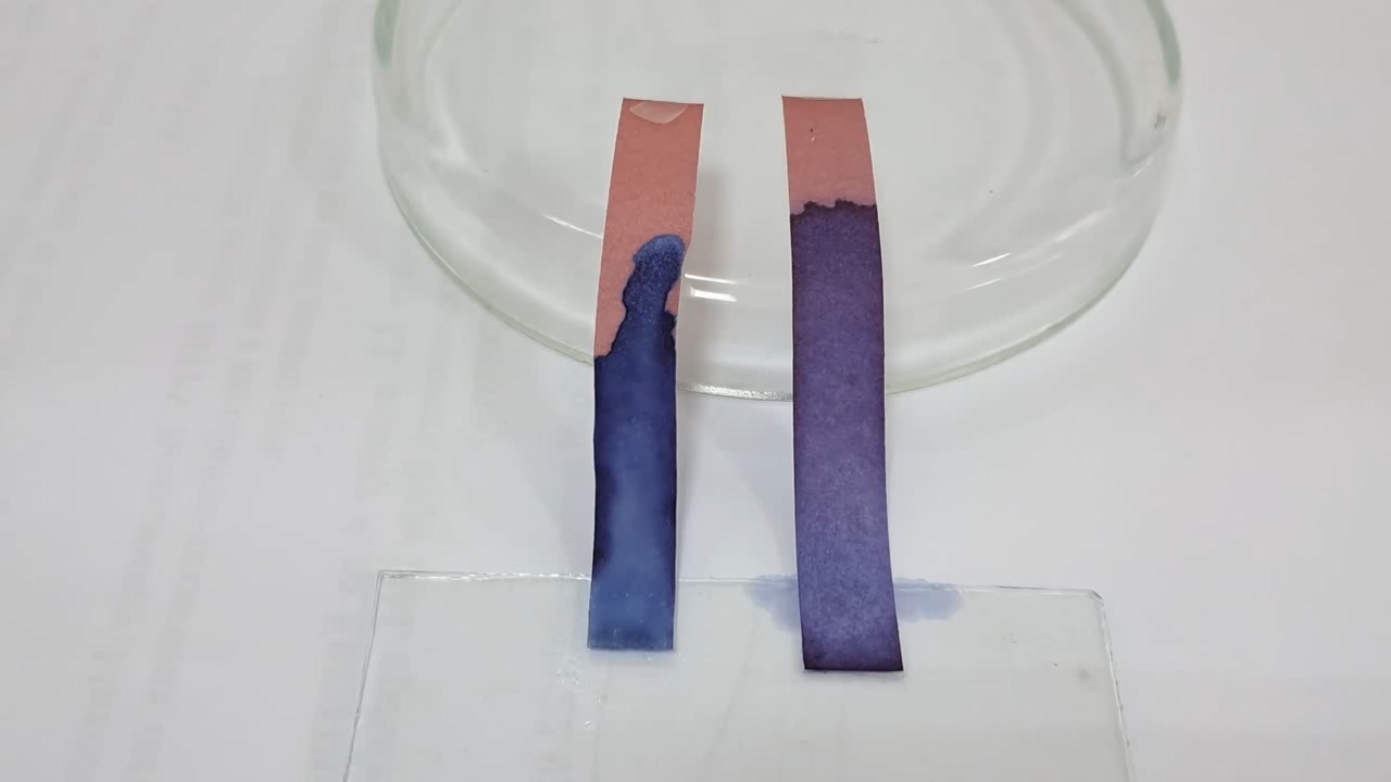 Litmus Paper, Ammonia, and Sodium Hydroxide