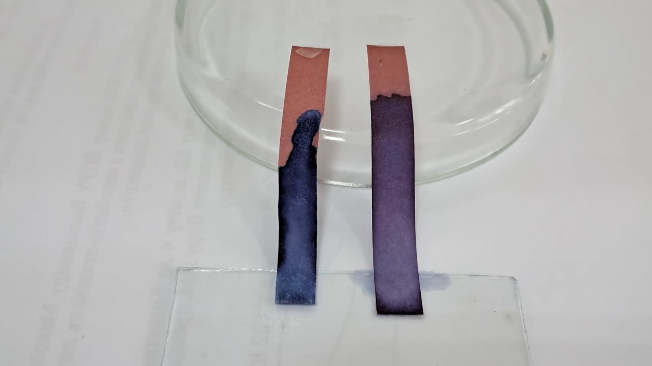 Litmus Paper, Ammonia, and Sodium Hydroxide