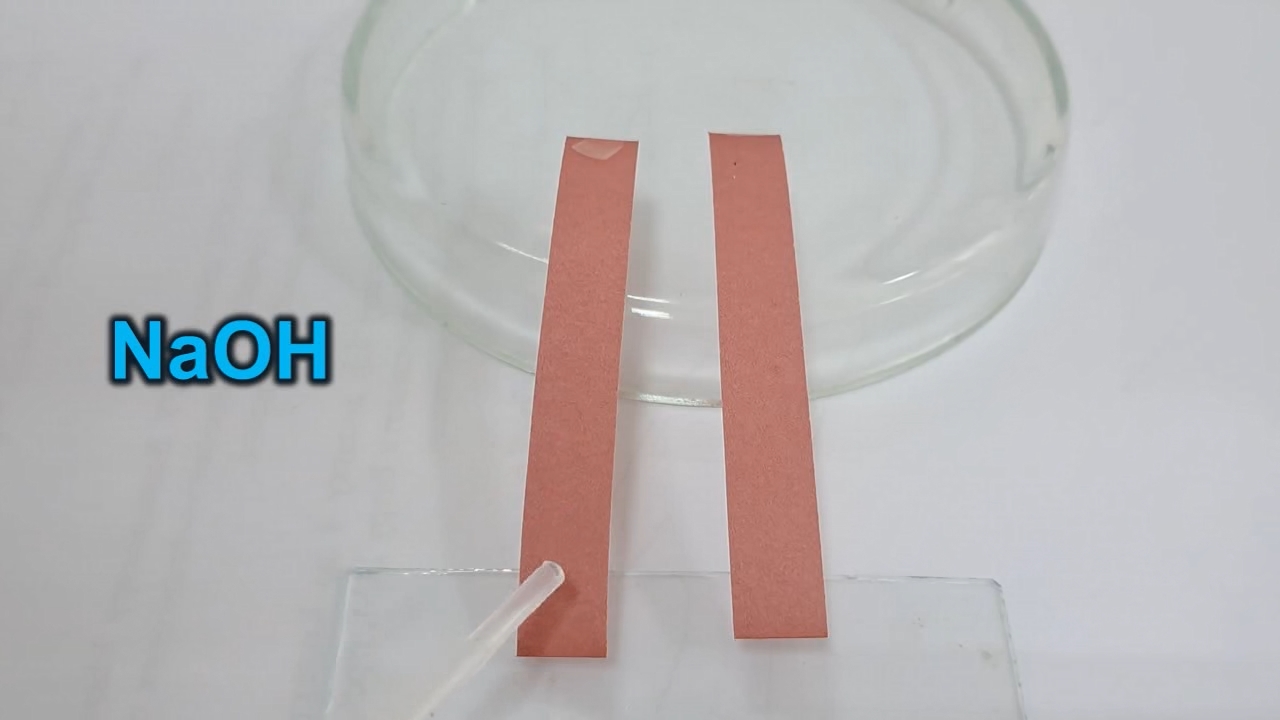 Litmus Paper, Ammonia, and Sodium Hydroxide