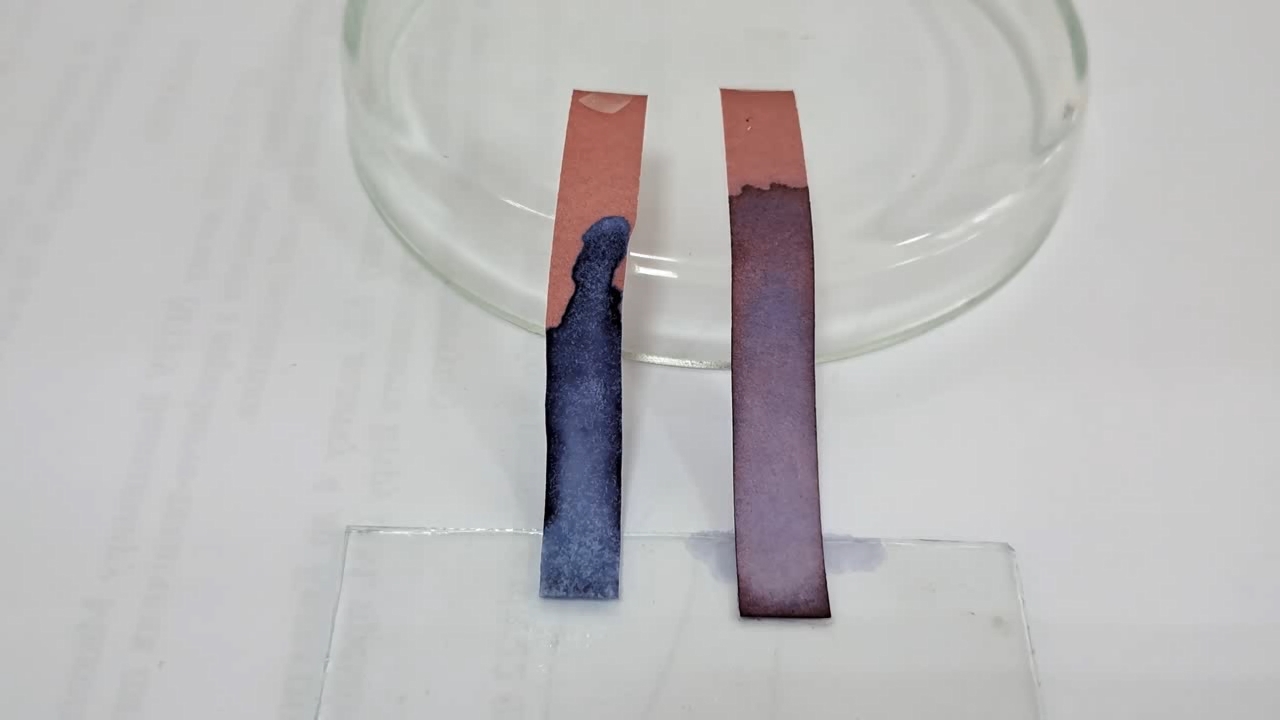 Litmus Paper, Ammonia, and Sodium Hydroxide
