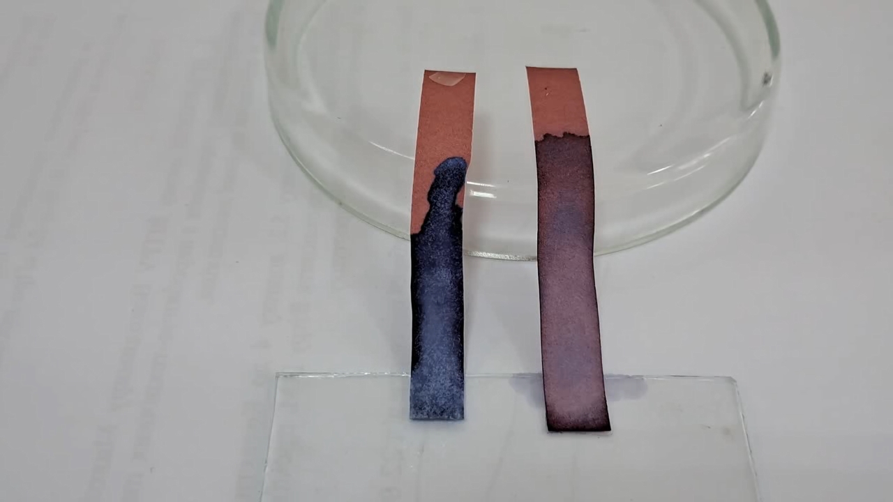 Litmus Paper, Ammonia, and Sodium Hydroxide
