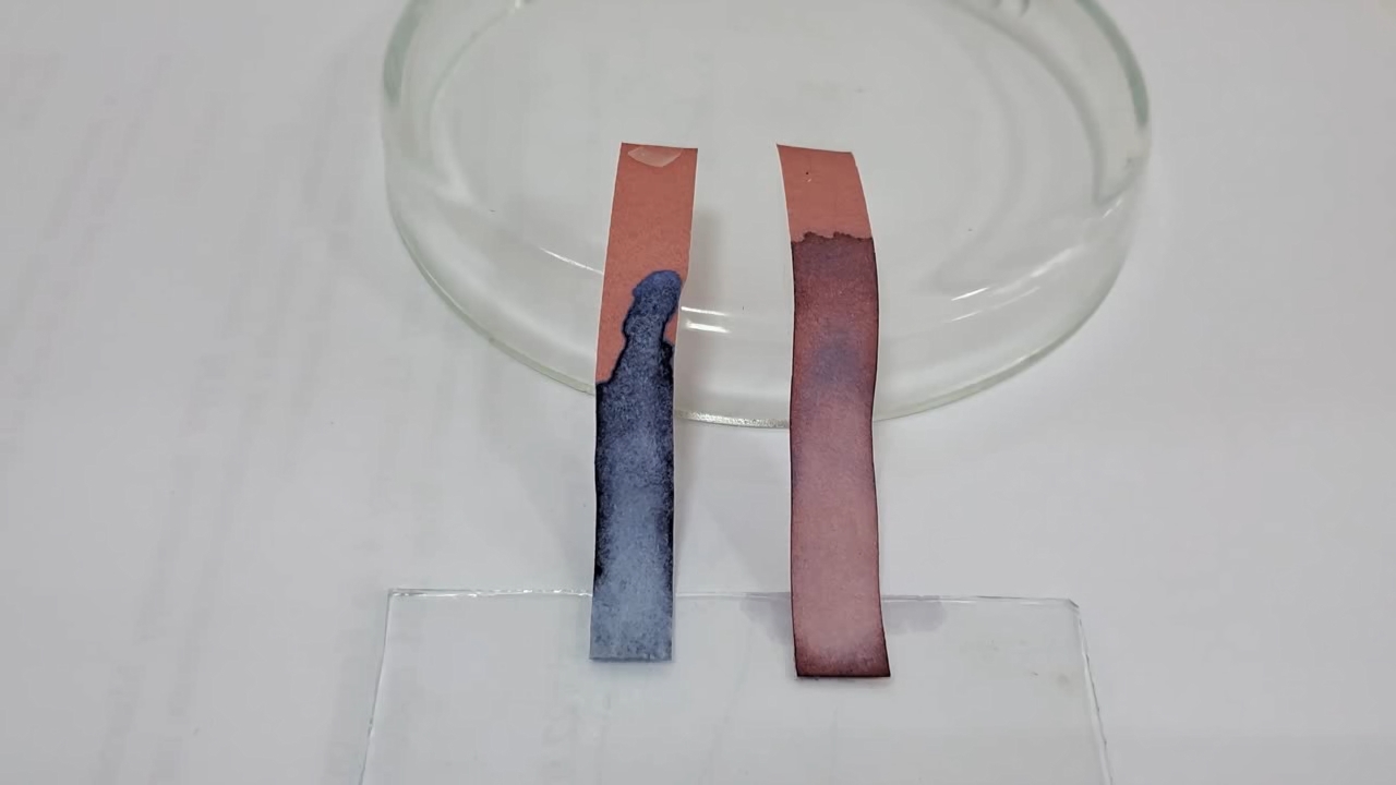 Litmus Paper, Ammonia, and Sodium Hydroxide