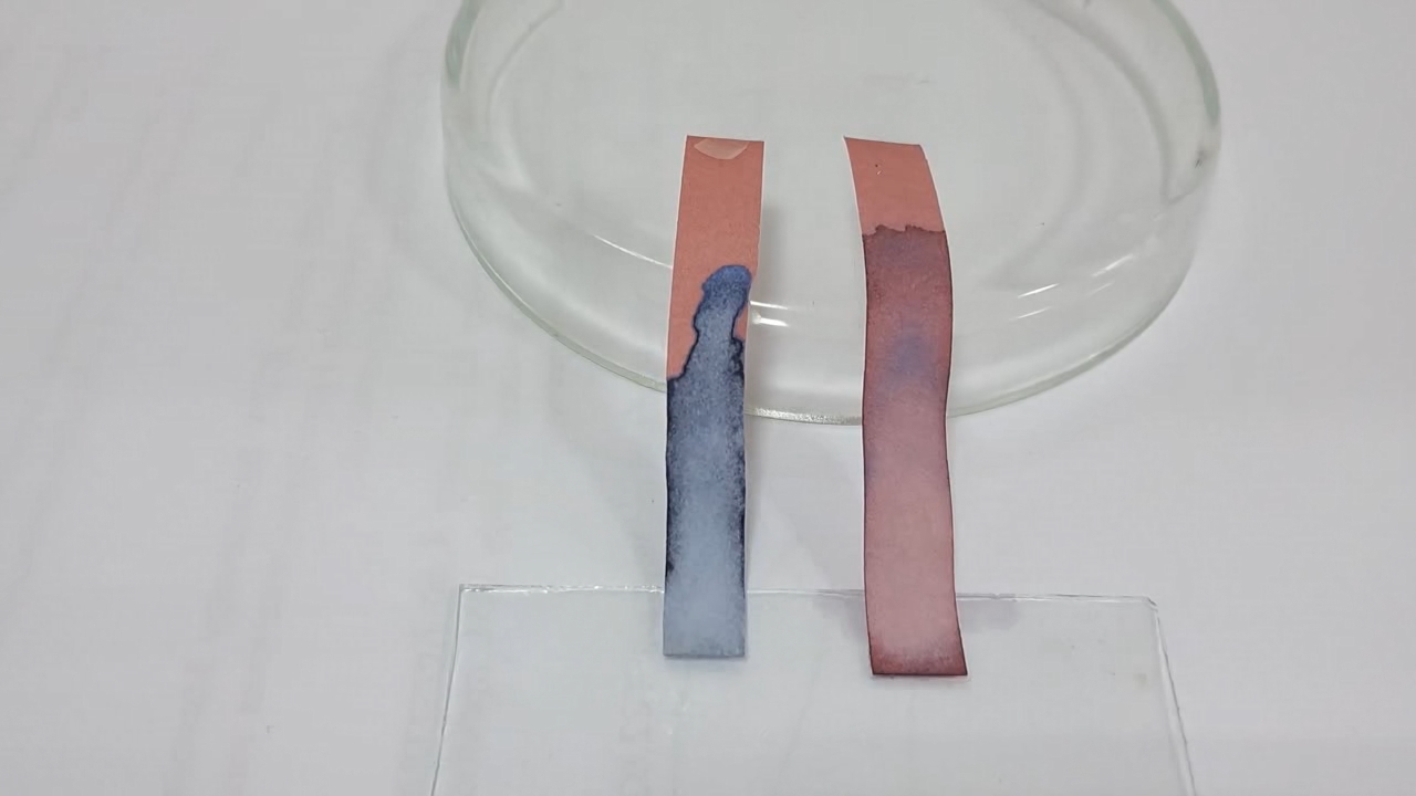 Litmus Paper, Ammonia, and Sodium Hydroxide