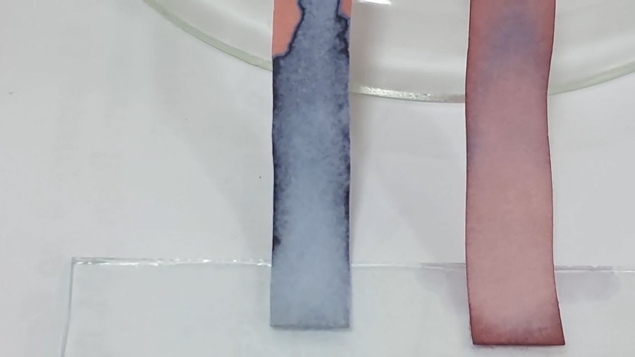 Litmus Paper, Ammonia, and Sodium Hydroxide