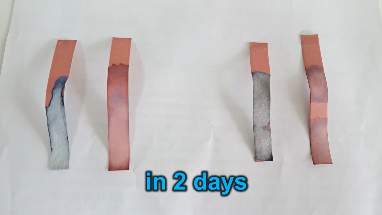 Litmus Paper, Ammonia, and Sodium Hydroxide