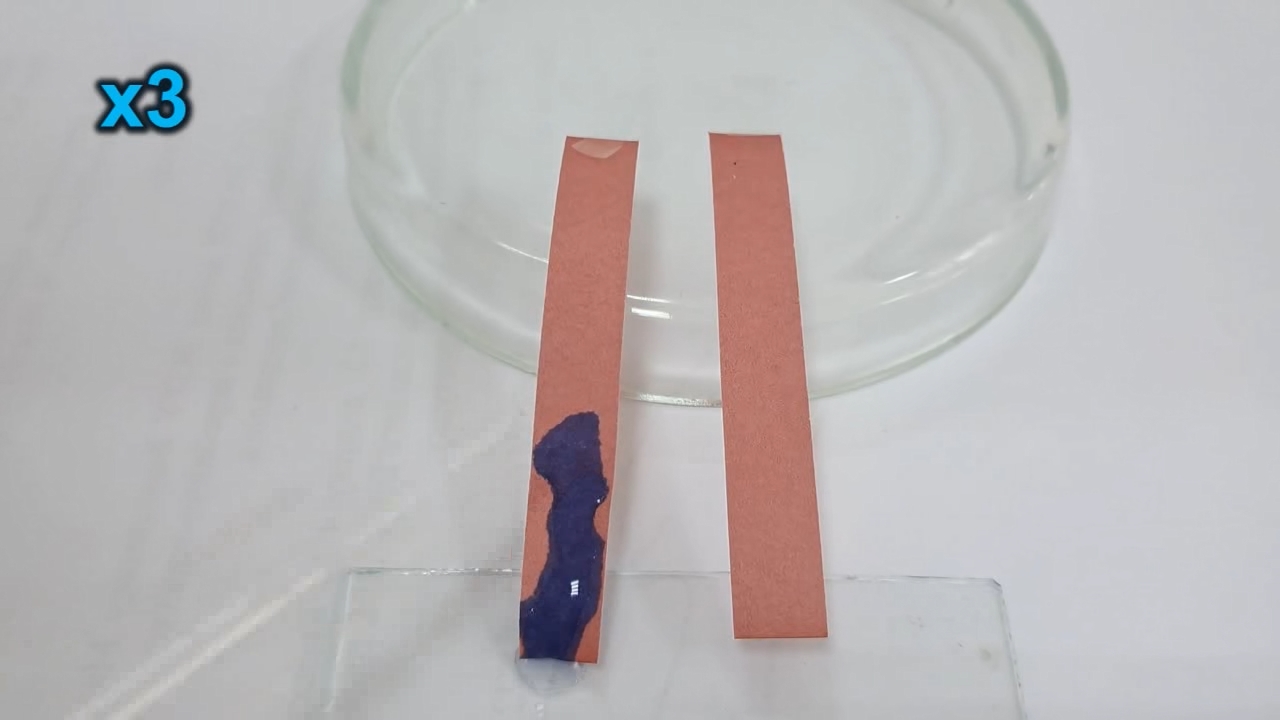 Litmus Paper, Ammonia, and Sodium Hydroxide