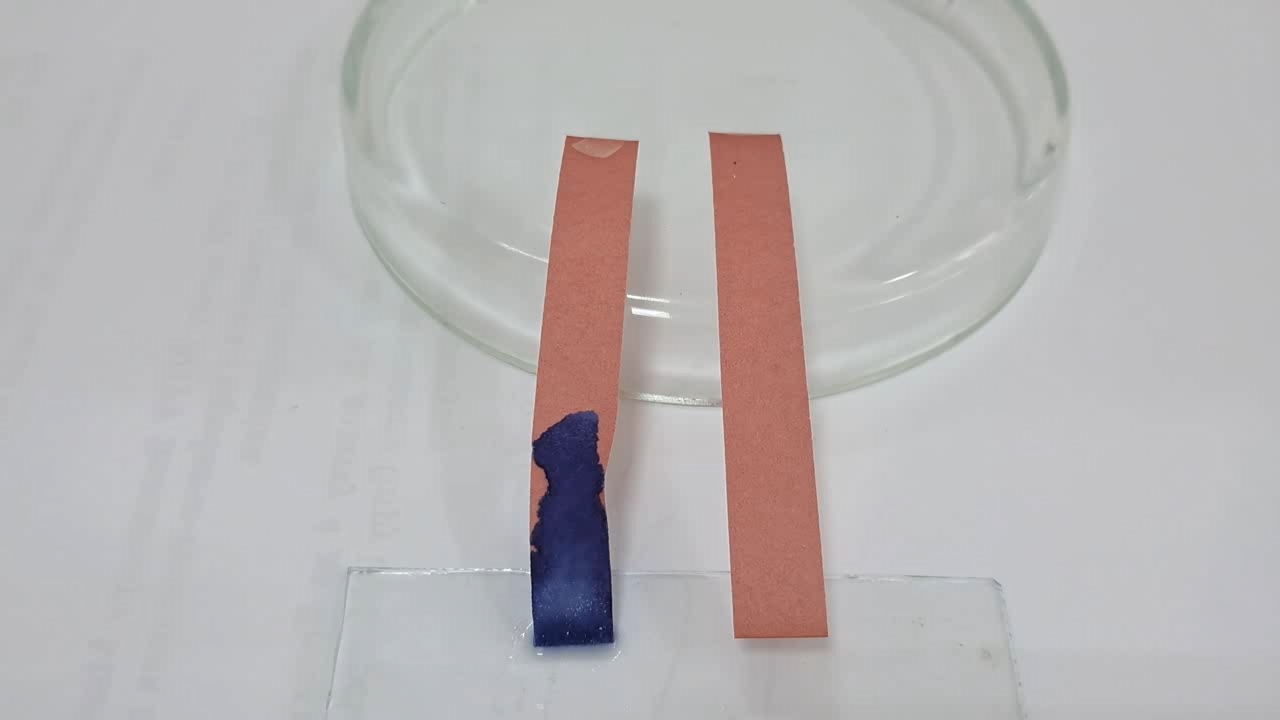 Litmus Paper, Ammonia, and Sodium Hydroxide
