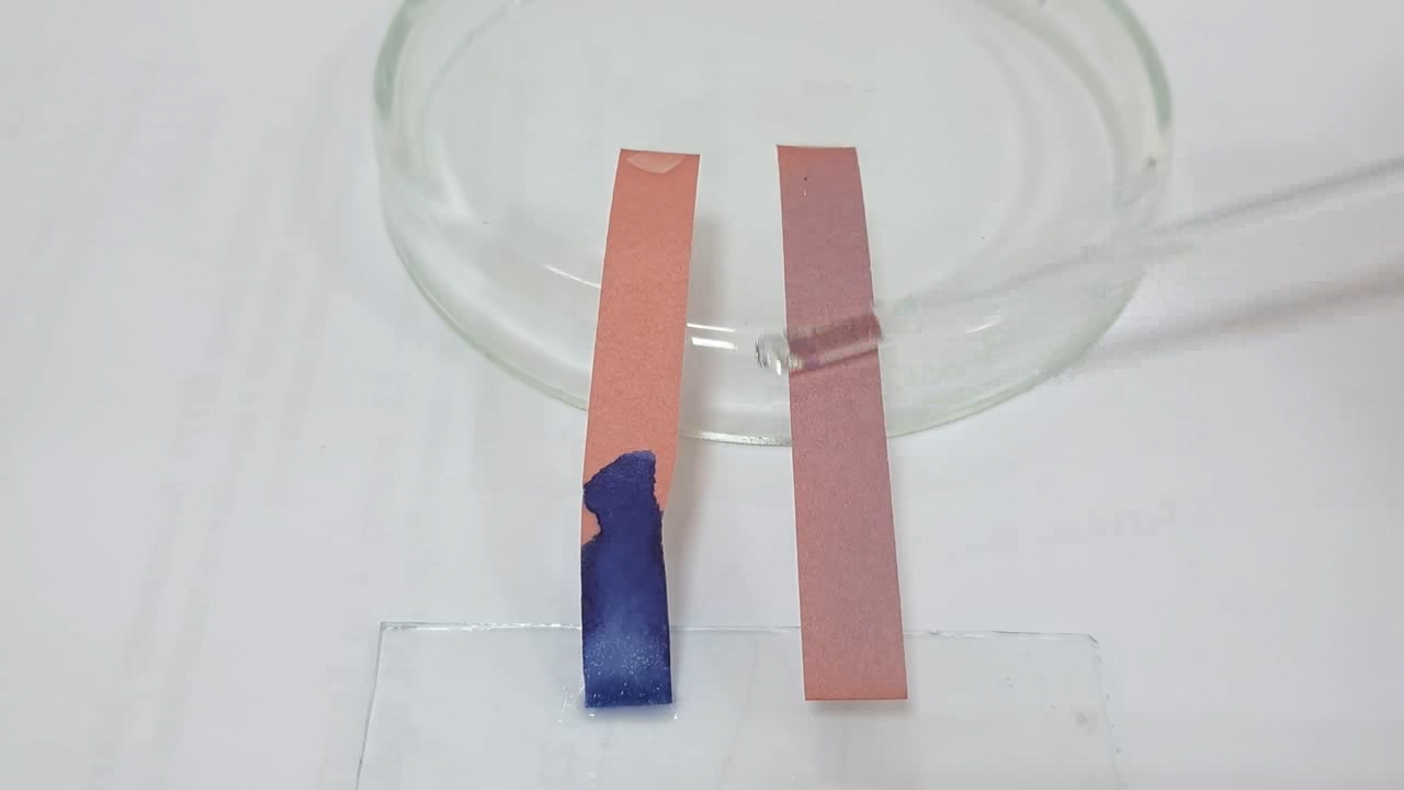Litmus Paper, Ammonia, and Sodium Hydroxide