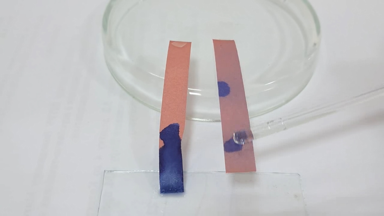 Litmus Paper, Ammonia, and Sodium Hydroxide