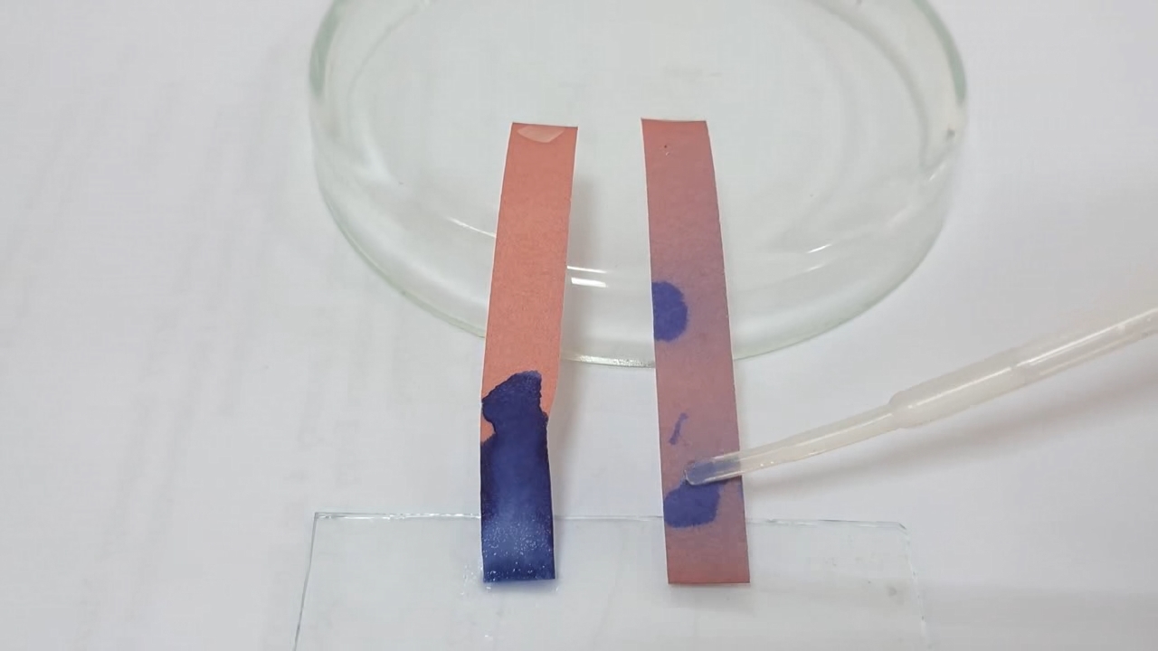 Litmus Paper, Ammonia, and Sodium Hydroxide