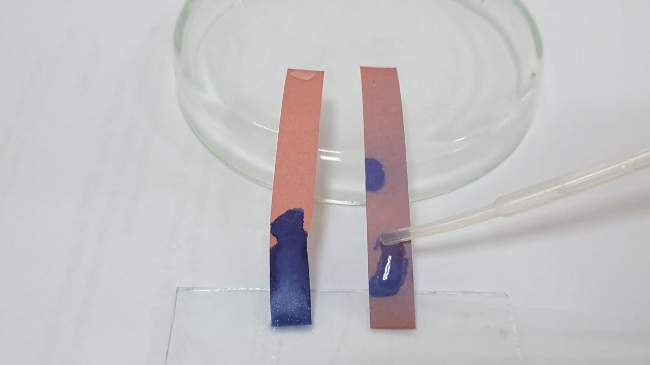 Litmus Paper, Ammonia, and Sodium Hydroxide