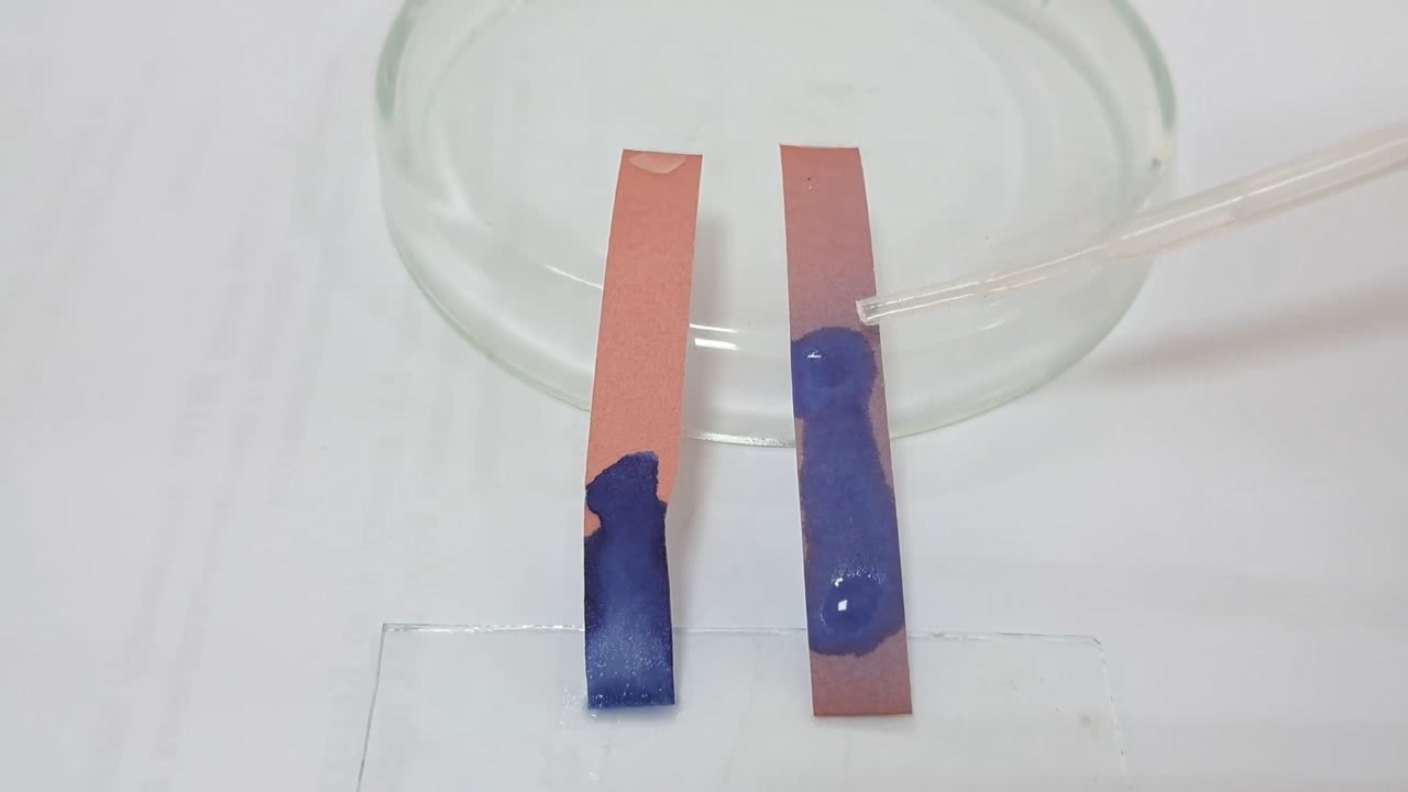 Litmus Paper, Ammonia, and Sodium Hydroxide