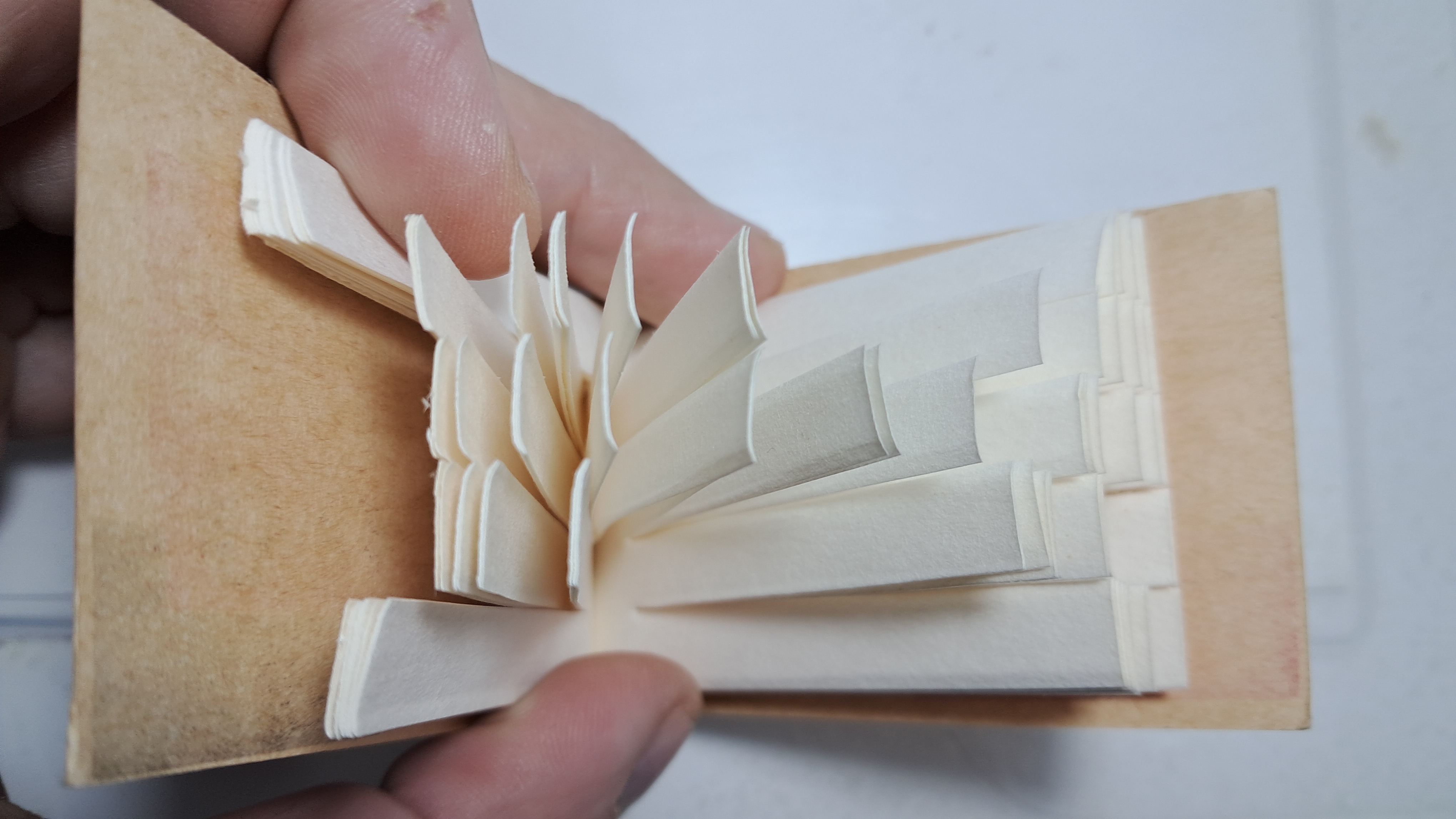 Phenolphthalein Indicator Paper