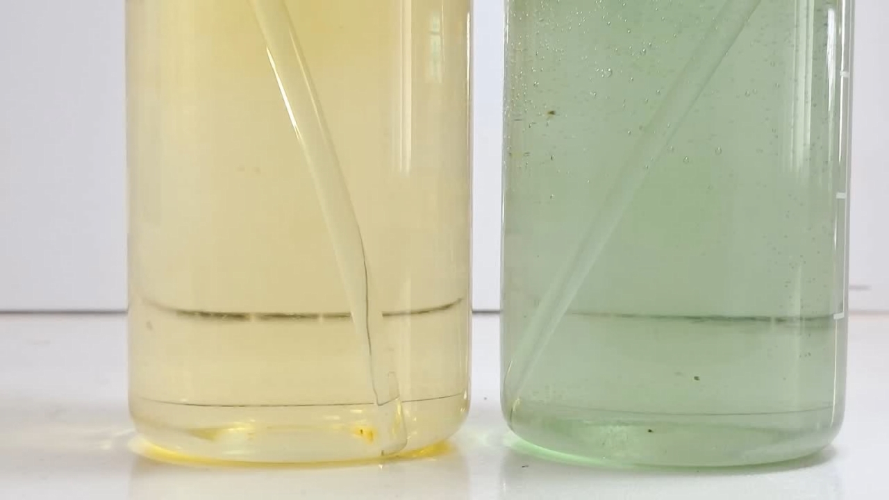Water and Universal Indicator
