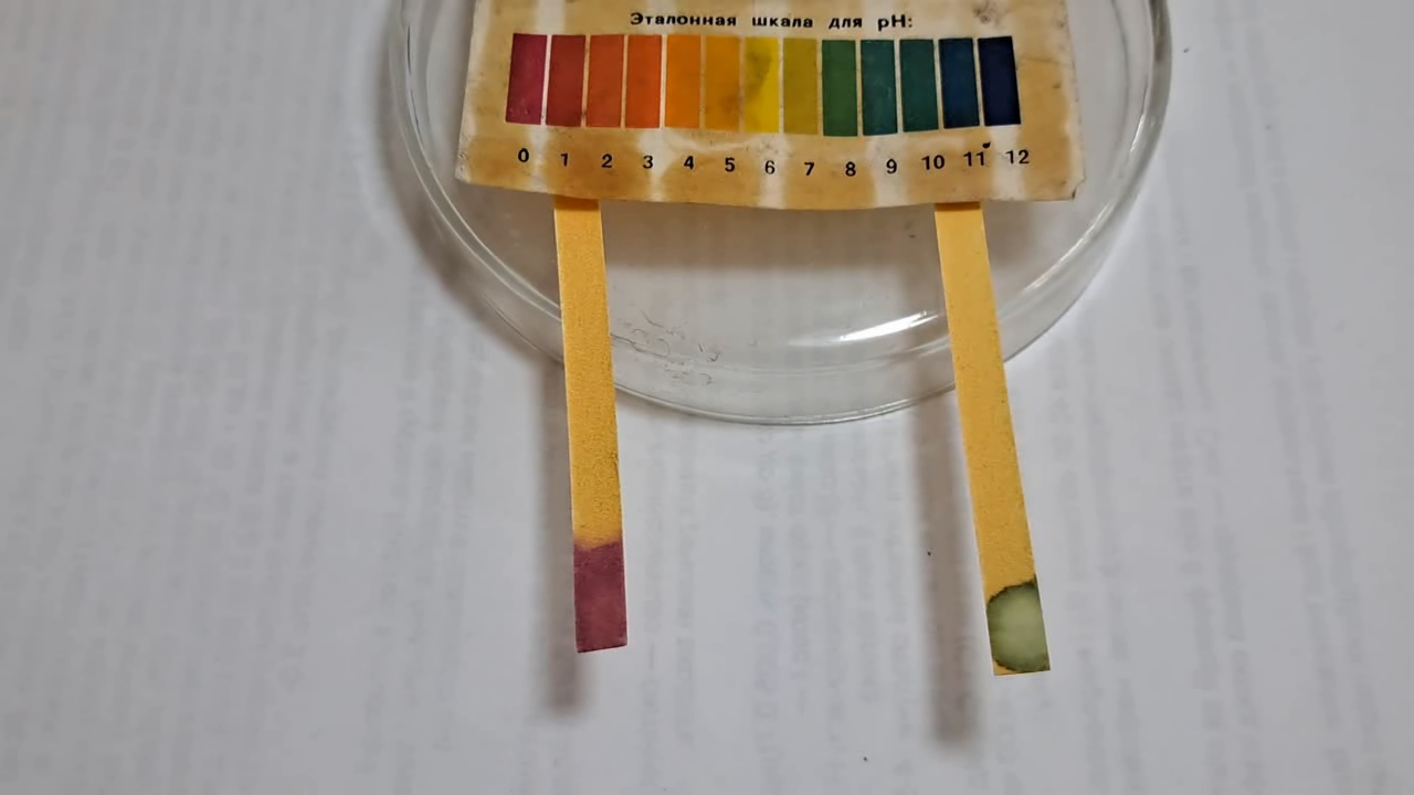 Universal Indicator Paper, Hydrochloric Acid, and Ammonia