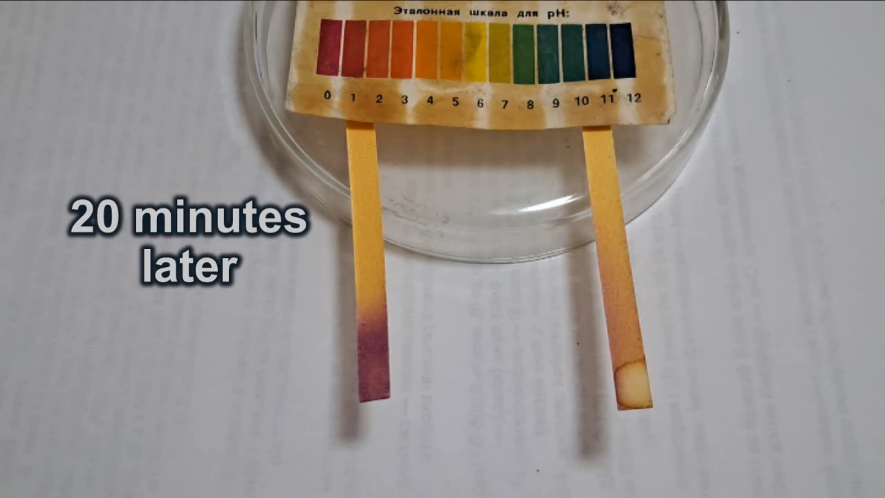 Universal Indicator Paper, Hydrochloric Acid, and Ammonia