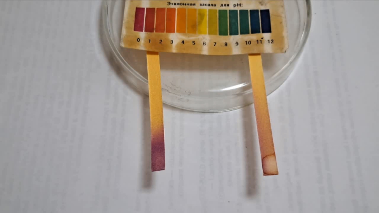 Universal Indicator Paper, Hydrochloric Acid, and Ammonia