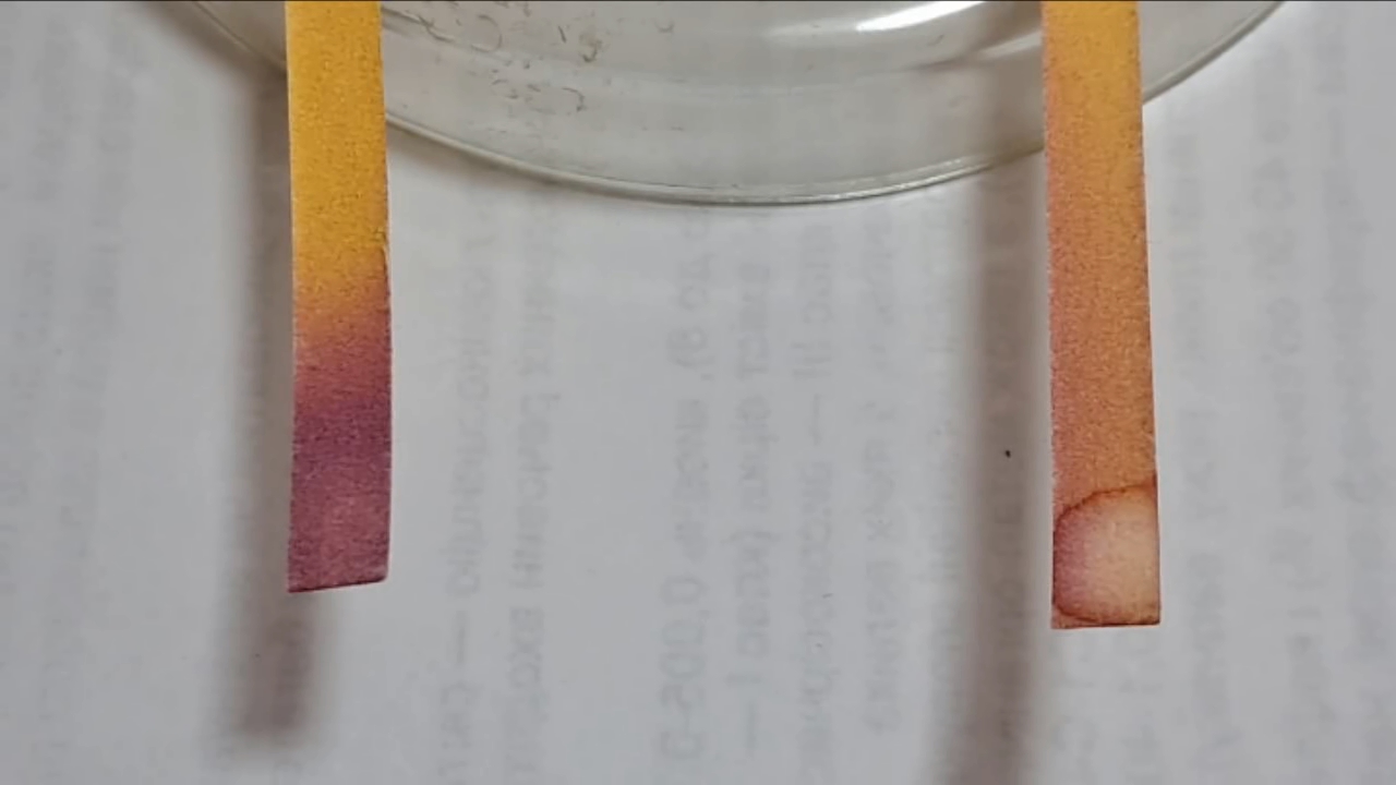 Universal Indicator Paper, Hydrochloric Acid, and Ammonia