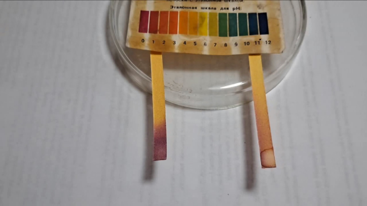 Universal Indicator Paper, Hydrochloric Acid, and Ammonia