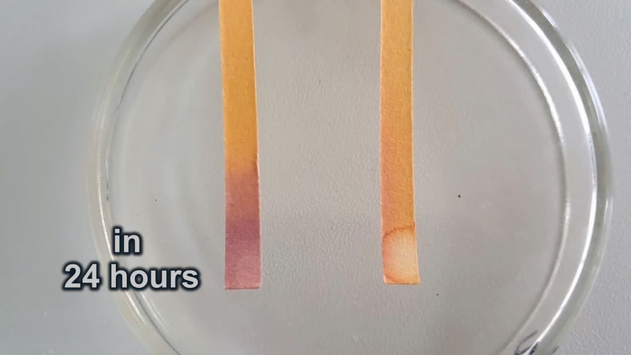 Universal Indicator Paper, Hydrochloric Acid, and Ammonia