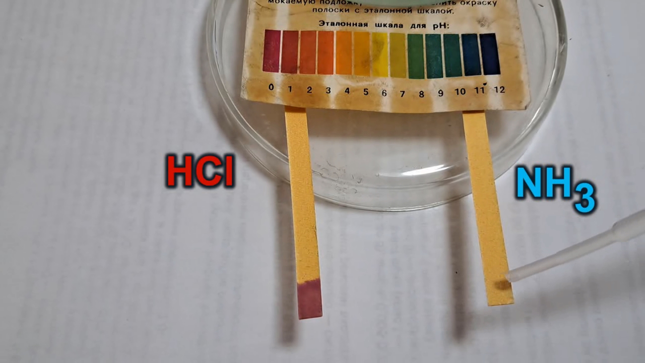 Universal Indicator Paper, Hydrochloric Acid, and Ammonia