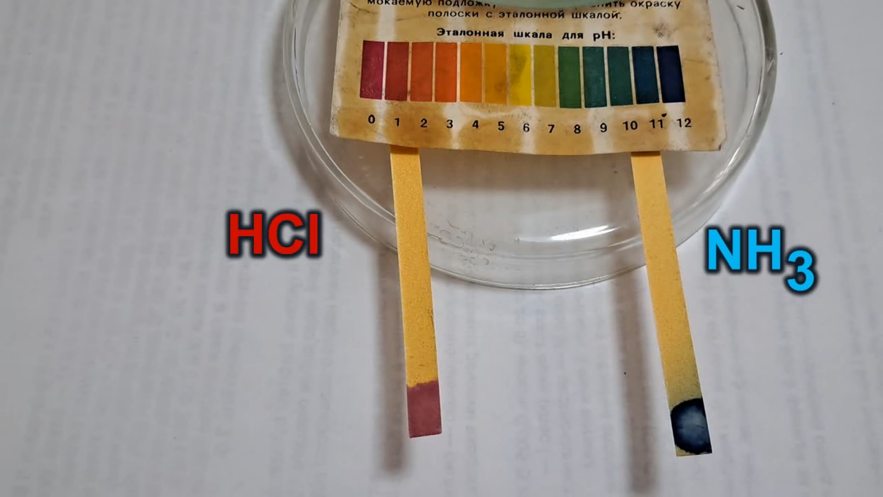 Universal Indicator Paper, Hydrochloric Acid, and Ammonia