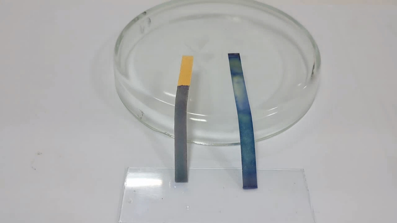 Universal Indicator Paper, Ammonia, and Sodium Hydroxide