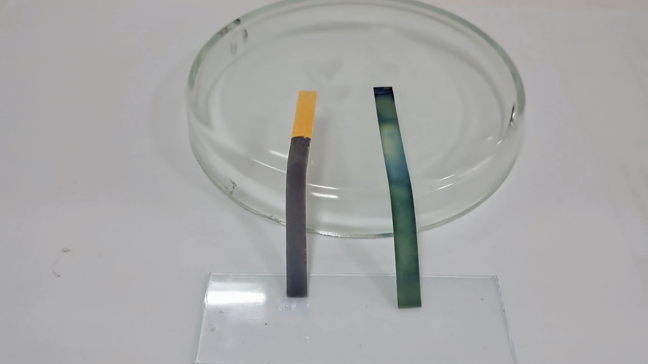 Universal Indicator Paper, Ammonia, and Sodium Hydroxide