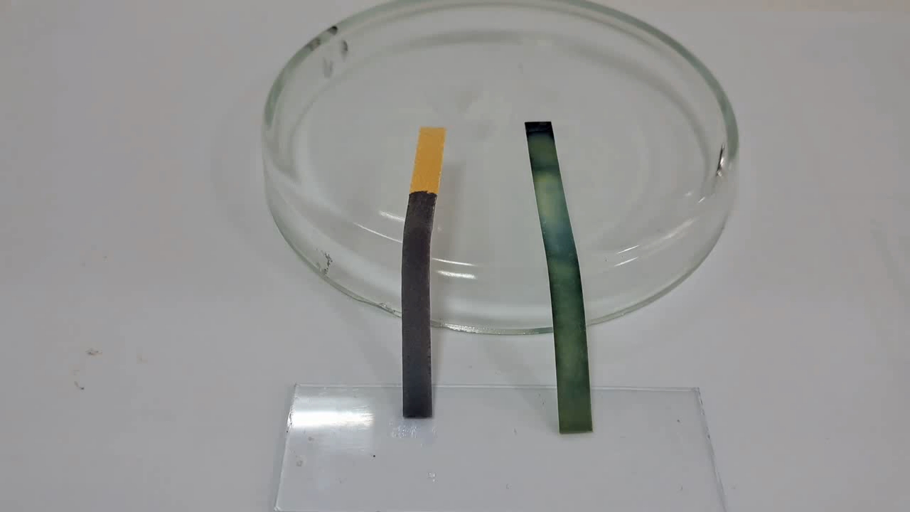 Universal Indicator Paper, Ammonia, and Sodium Hydroxide