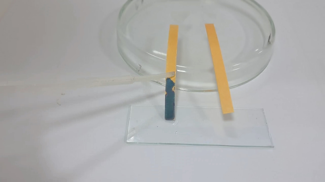 Universal Indicator Paper, Ammonia, and Sodium Hydroxide