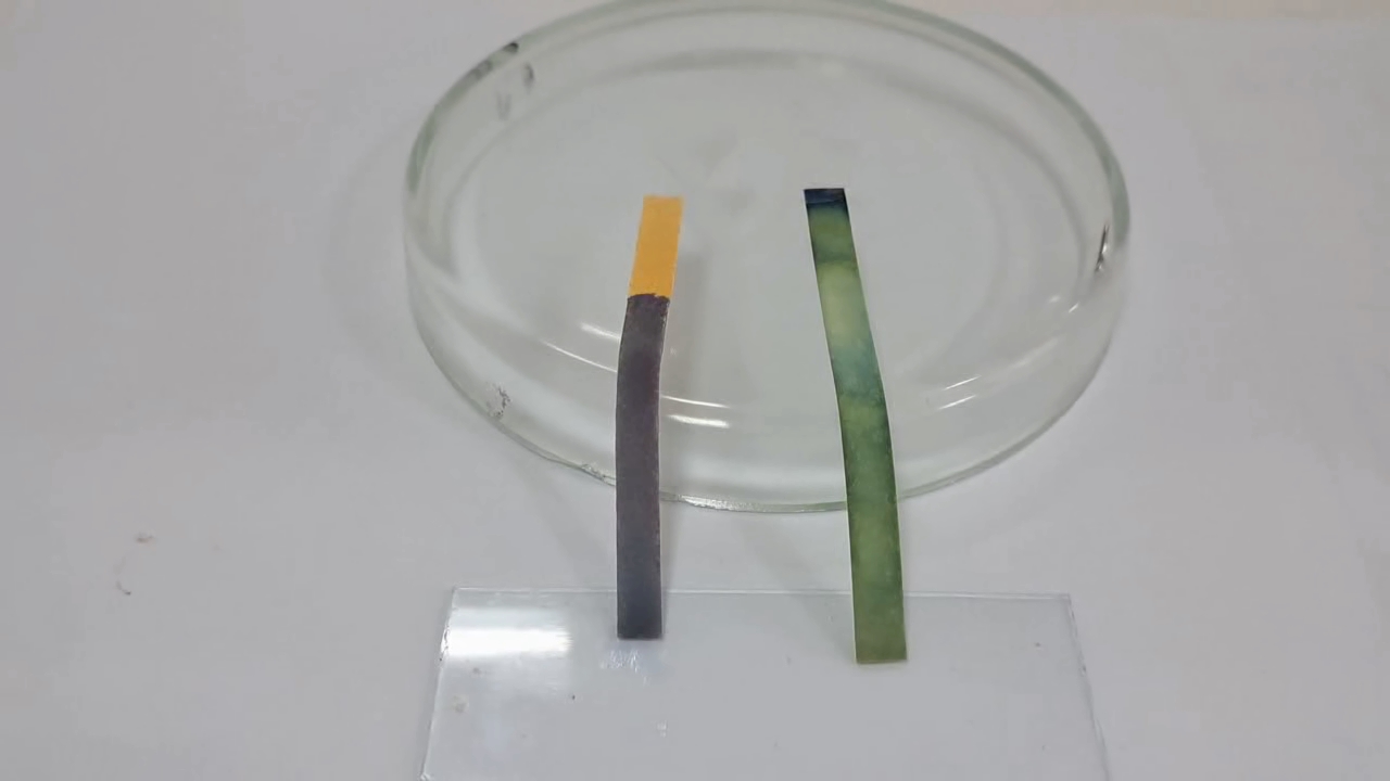 Universal Indicator Paper, Ammonia, and Sodium Hydroxide