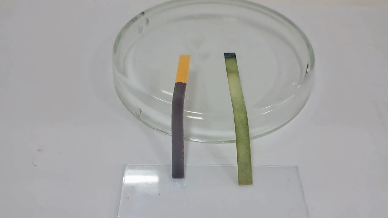 Universal Indicator Paper, Ammonia, and Sodium Hydroxide