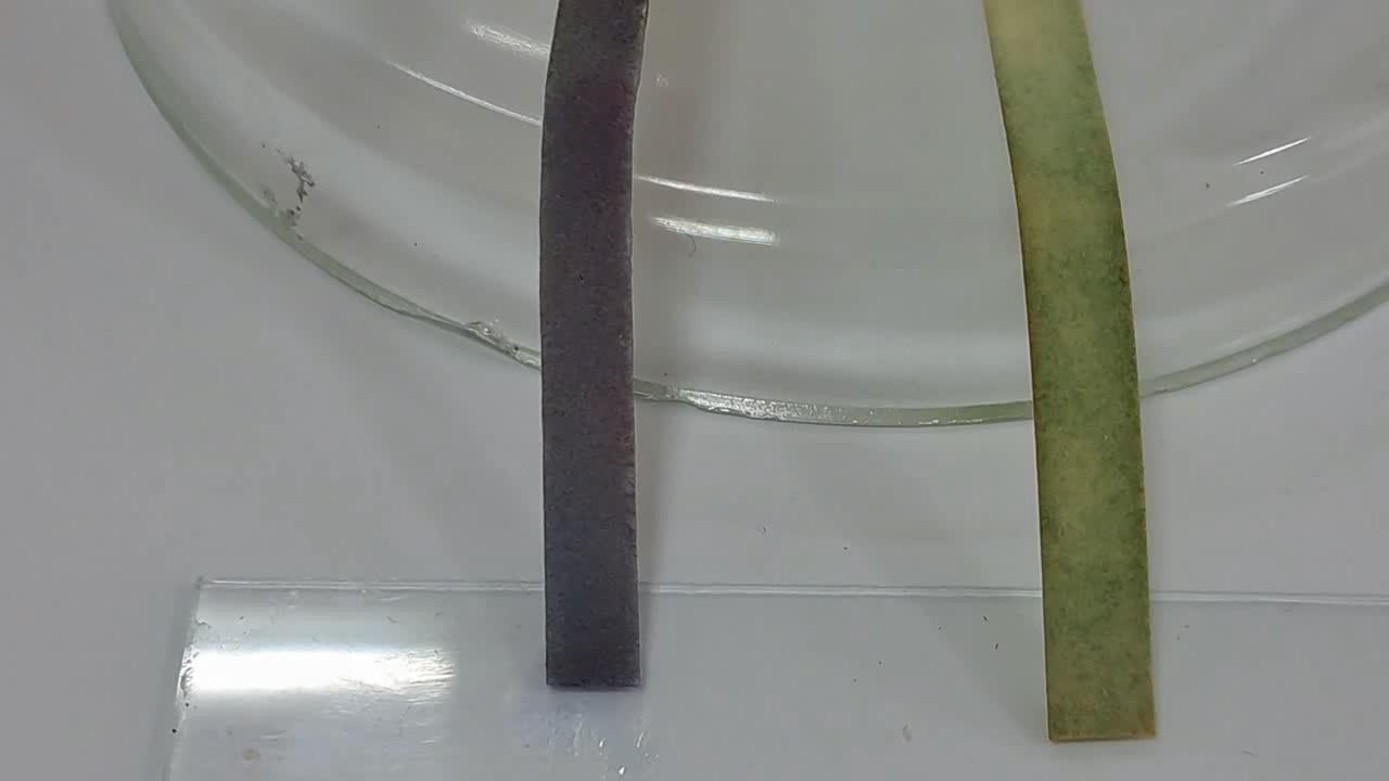 Universal Indicator Paper, Ammonia, and Sodium Hydroxide