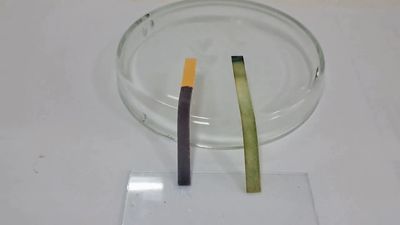 Universal Indicator Paper, Ammonia, and Sodium Hydroxide