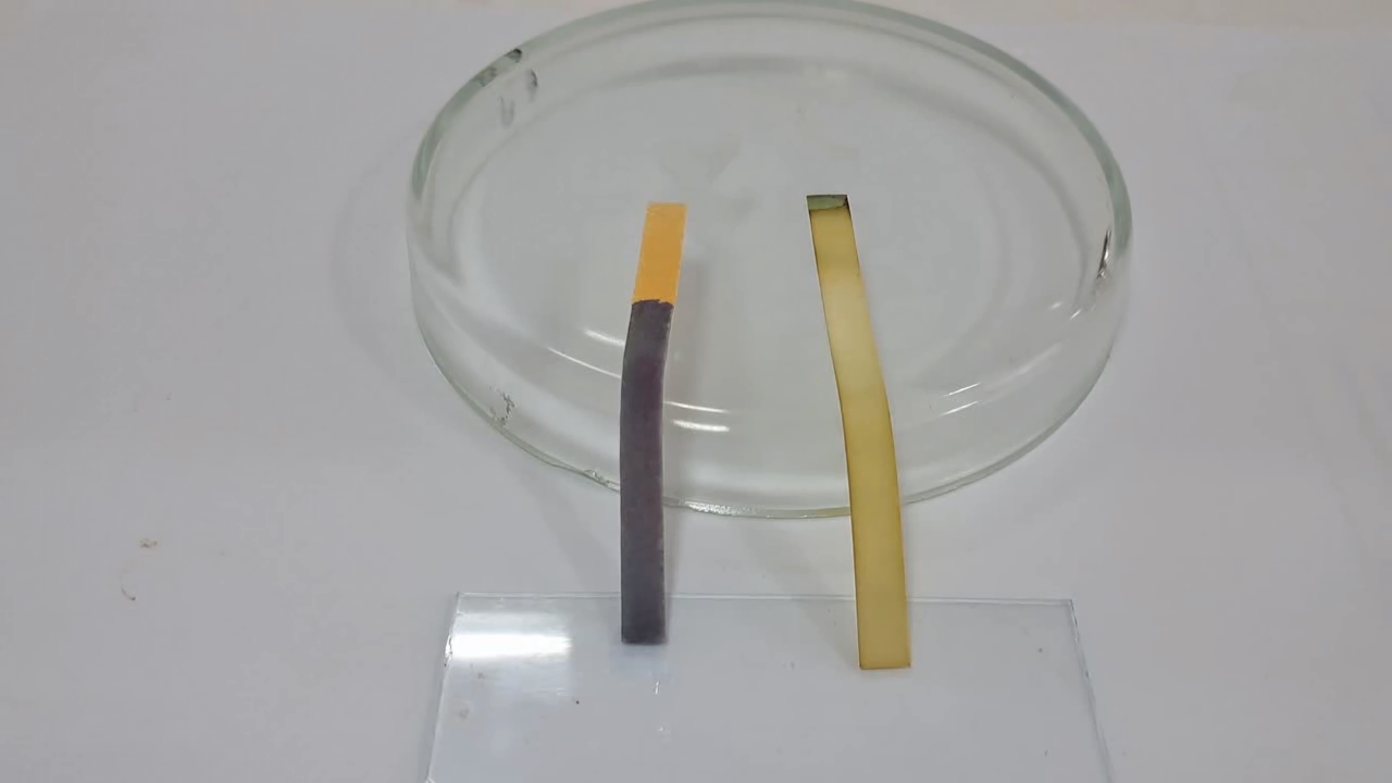 Universal Indicator Paper, Ammonia, and Sodium Hydroxide