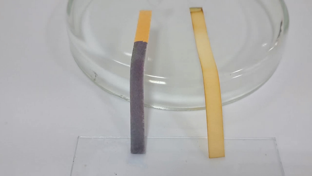 Universal Indicator Paper, Ammonia, and Sodium Hydroxide