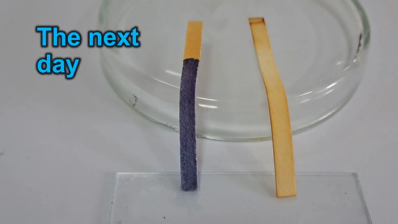 Universal Indicator Paper, Ammonia, and Sodium Hydroxide