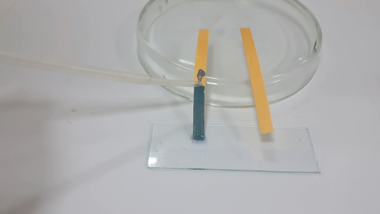 Universal Indicator Paper, Ammonia, and Sodium Hydroxide