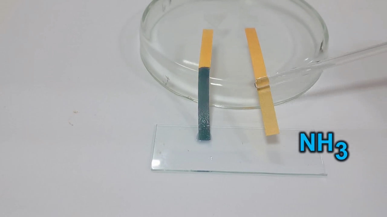 Universal Indicator Paper, Ammonia, and Sodium Hydroxide