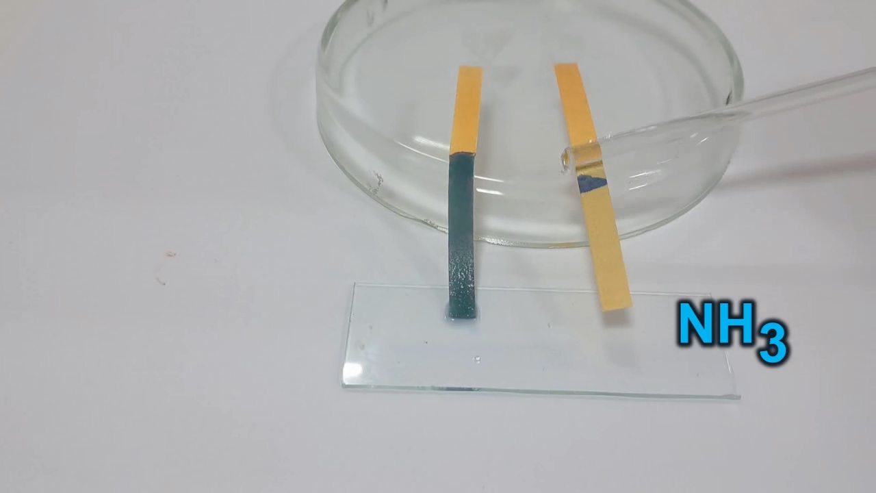 Universal Indicator Paper, Ammonia, and Sodium Hydroxide