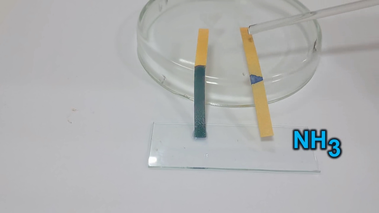 Universal Indicator Paper, Ammonia, and Sodium Hydroxide