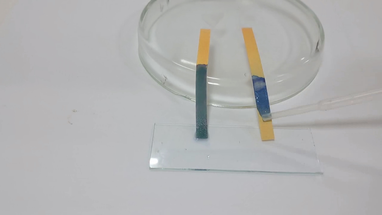 Universal Indicator Paper, Ammonia, and Sodium Hydroxide