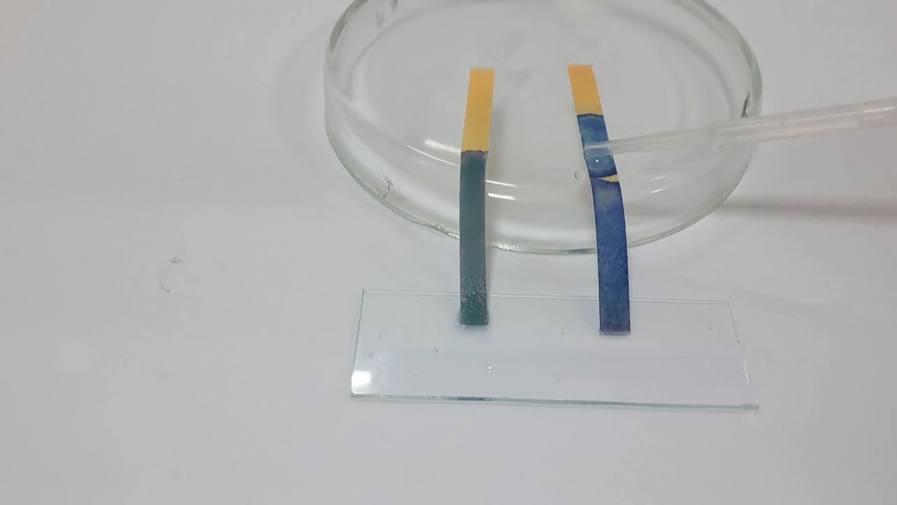 Universal Indicator Paper, Ammonia, and Sodium Hydroxide