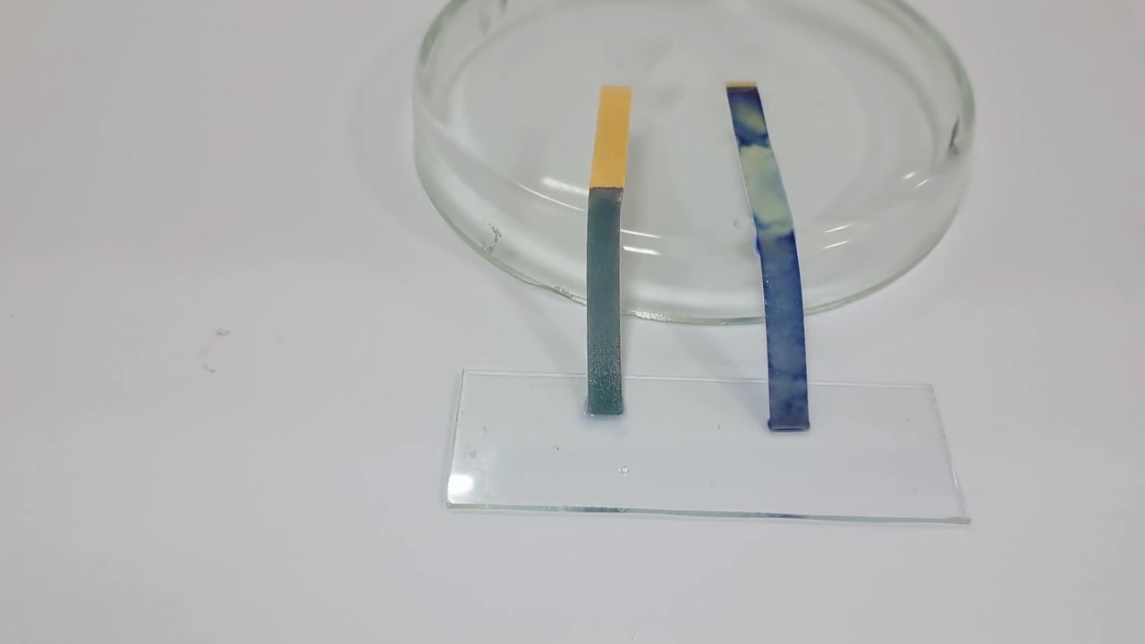 Universal Indicator Paper, Ammonia, and Sodium Hydroxide