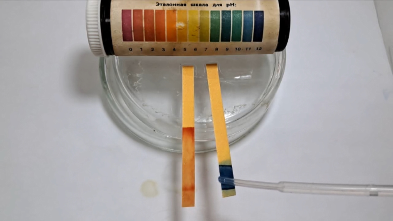 Universal Indicator Paper, Acetic Acid, and Ammonia
