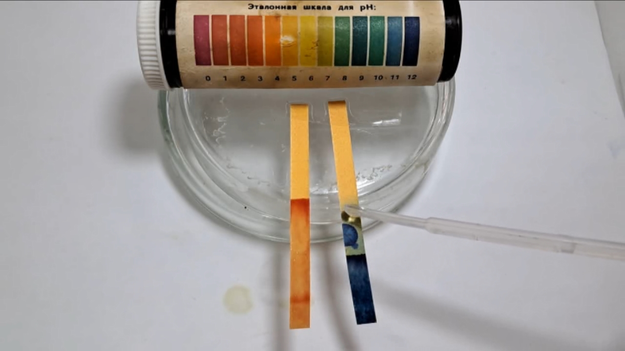 Universal Indicator Paper, Acetic Acid, and Ammonia