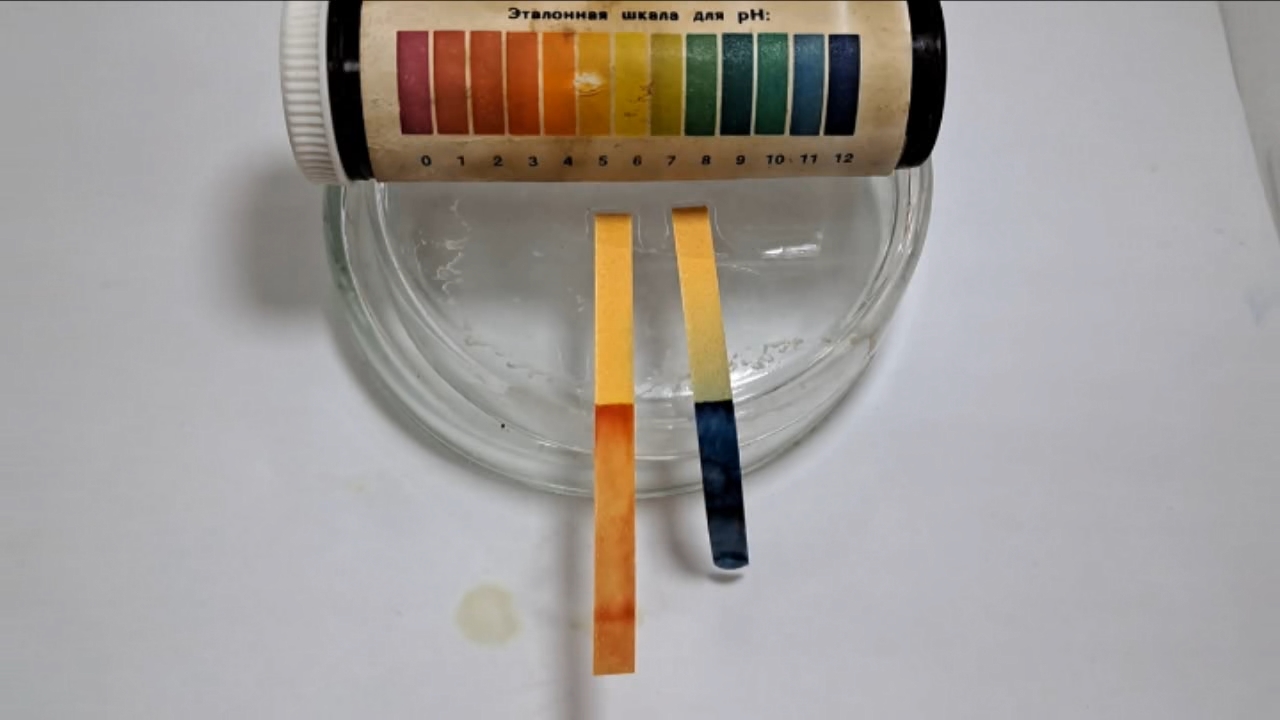 Universal Indicator Paper, Acetic Acid, and Ammonia