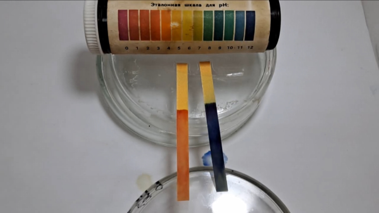 Universal Indicator Paper, Acetic Acid, and Ammonia