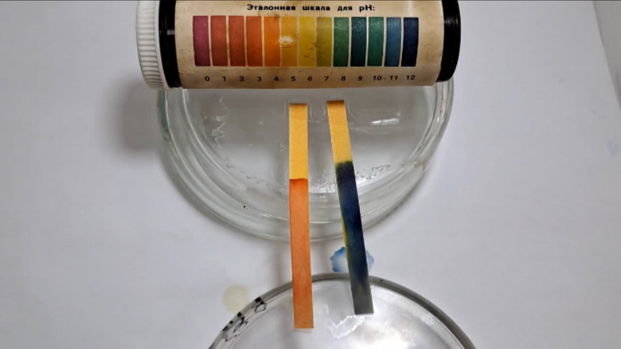 Universal Indicator Paper, Acetic Acid, and Ammonia